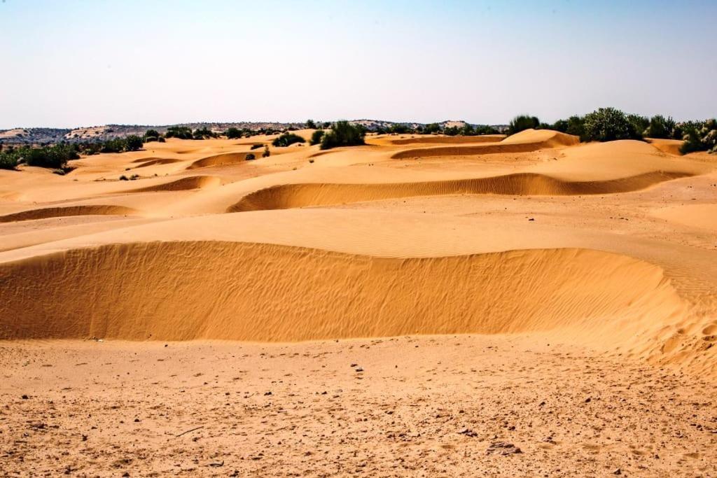 Neem Guest House Jaisalmer Bagian luar foto