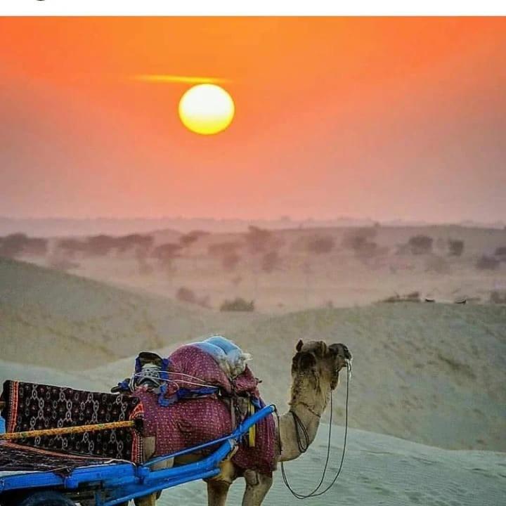 Neem Guest House Jaisalmer Bagian luar foto